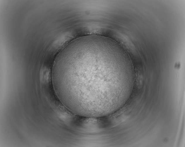 X0000090910123200708131420