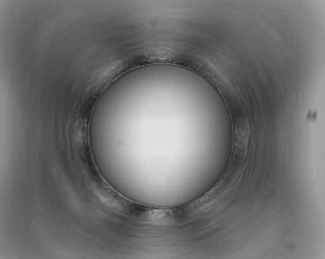 X0000090910126200708131420