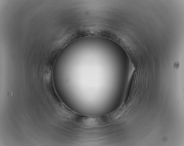 X0000090910129200708131420