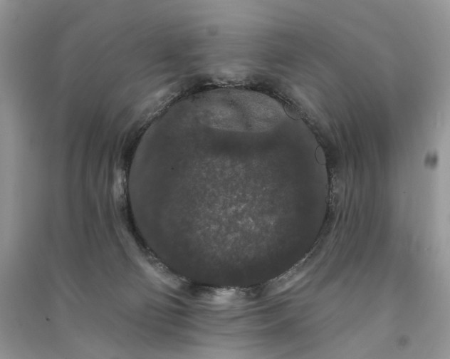 X0000090910130200708131420