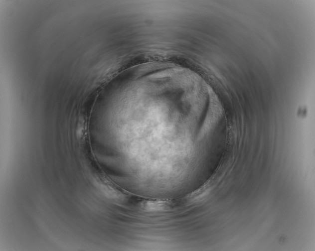 X0000090910134200708131420