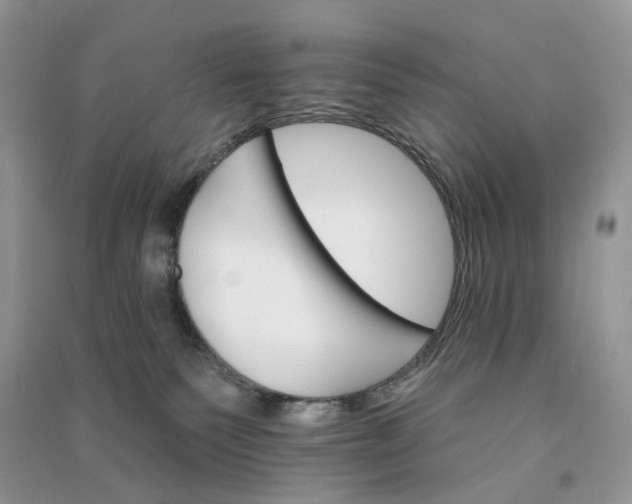 X0000090910135200708131420