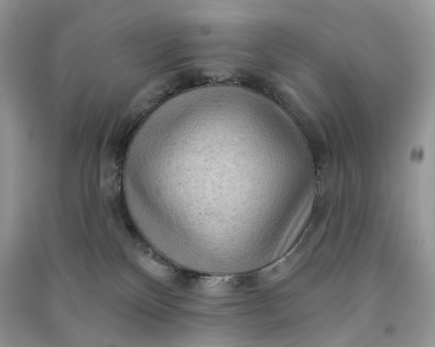 X0000090910136200708131420