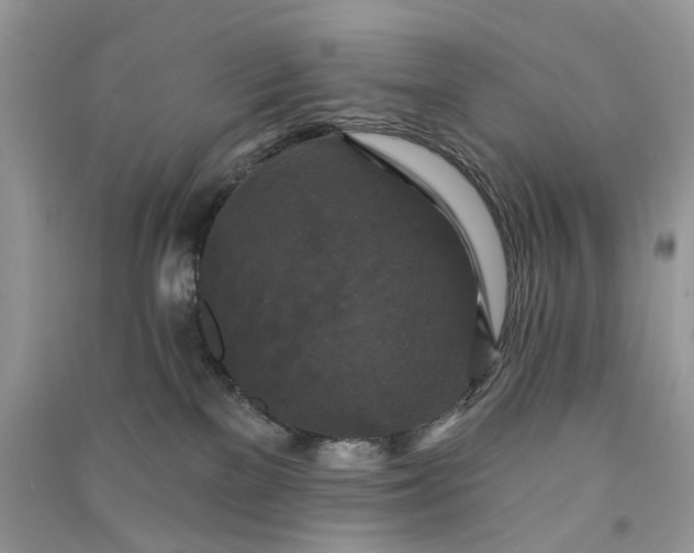 X0000090910137200708131420