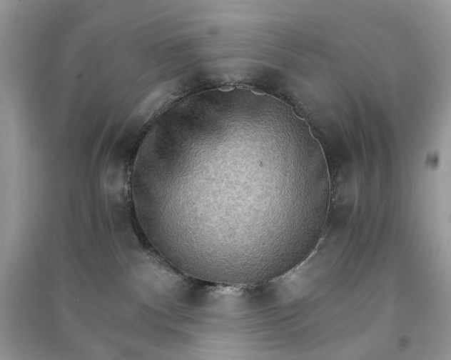 X0000090910140200708131419