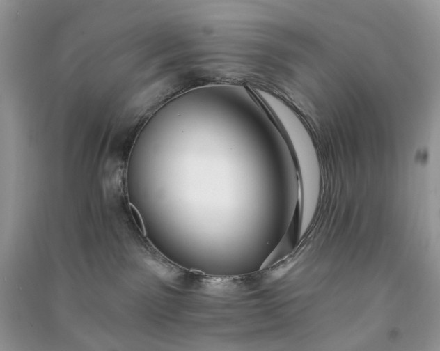 X0000090910141200708131419