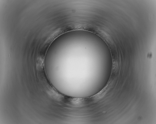 X0000090910142200708131419