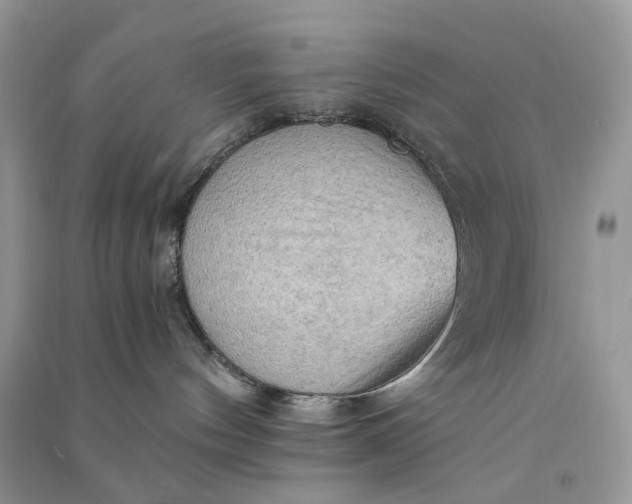 X0000090910144200708131419