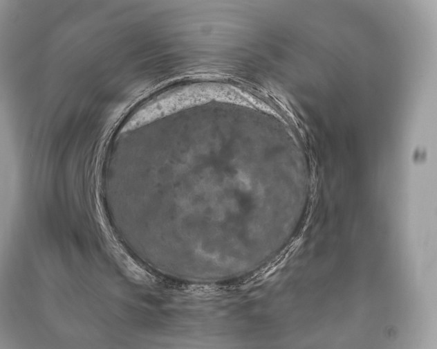 X0000090910145200708131419