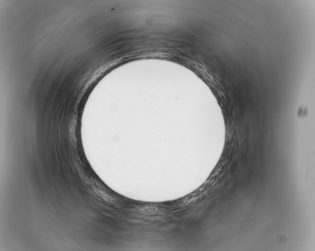 X0000090910146200708131419