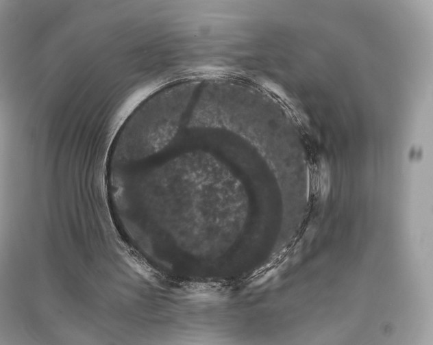 X0000090910147200708131419