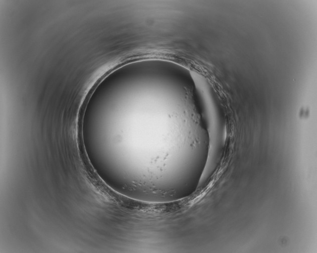 X0000090910148200708131419