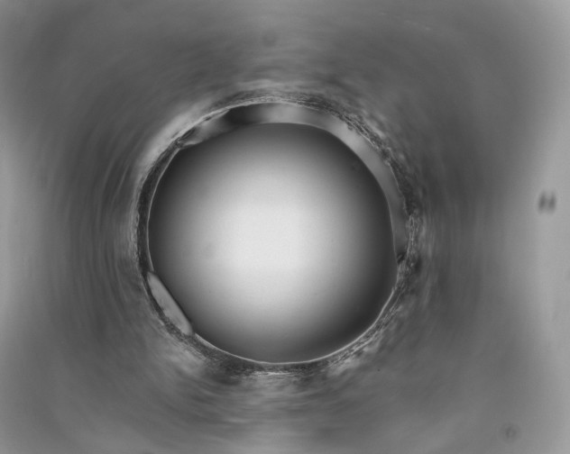 X0000090910150200708131419