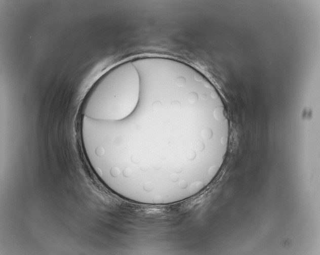 X0000090910151200708131419