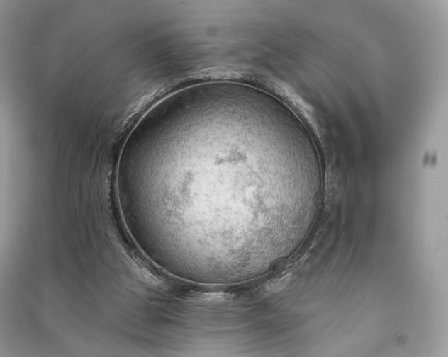 X0000090910153200708131419