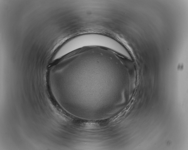 X0000090910154200708131419