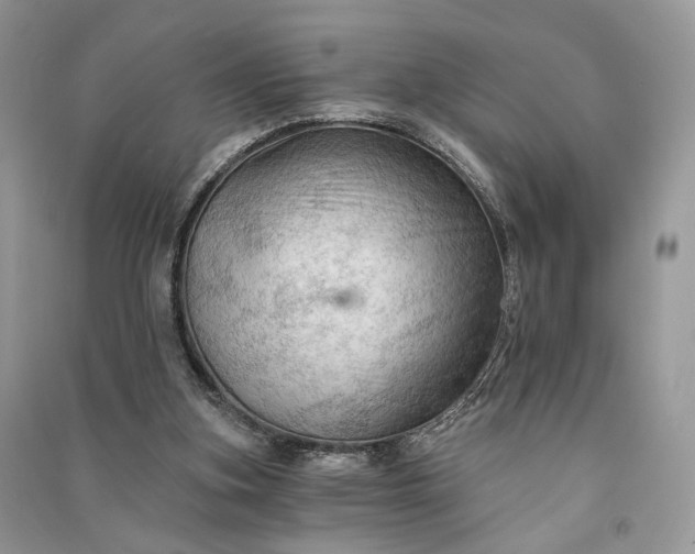 X0000090910155200708131419