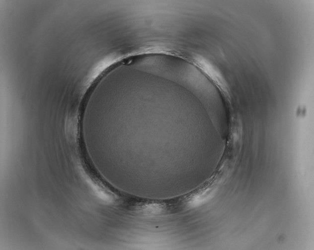 X0000090910156200708131419