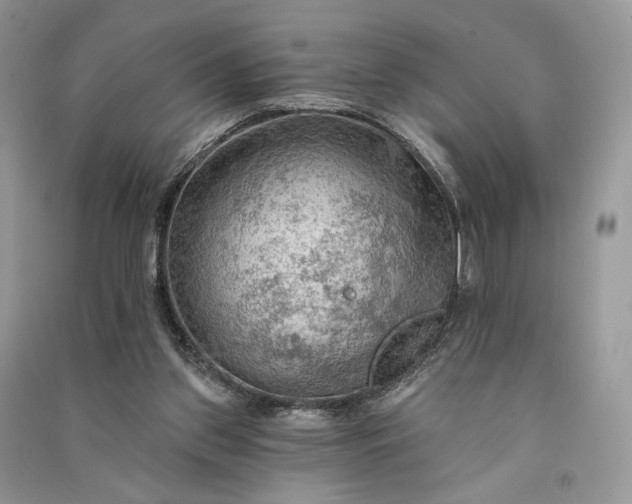 X0000090910157200708131419