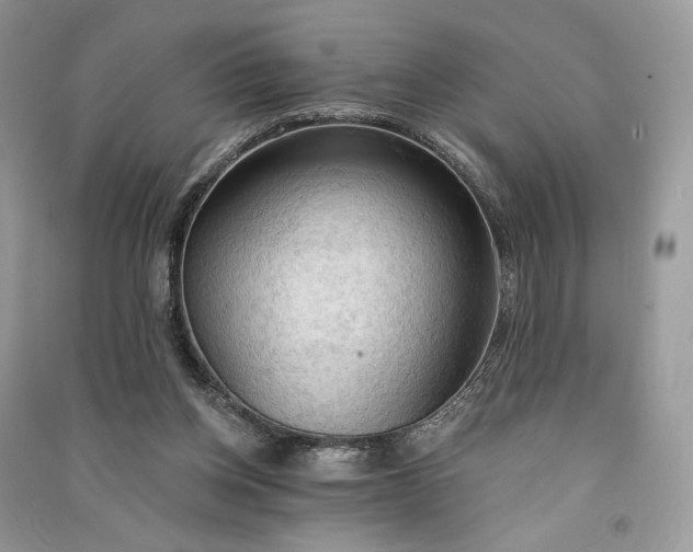 X0000090910158200708131419