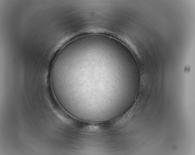 X0000090910159200708131419