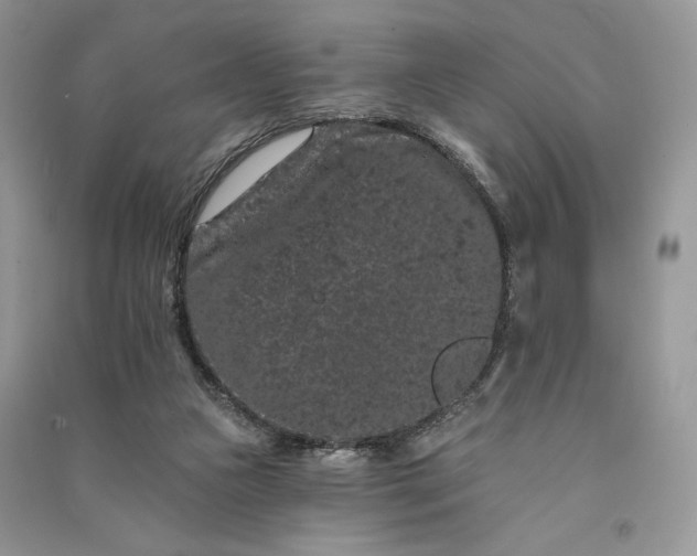 X0000090910161200708131419