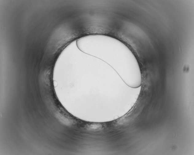 X0000090910162200708131419