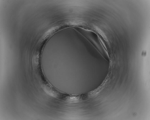 X0000090910163200708131419