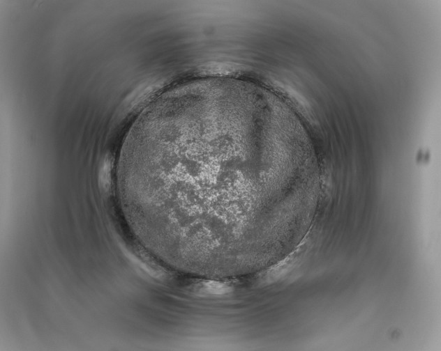 X0000090910166200708131419