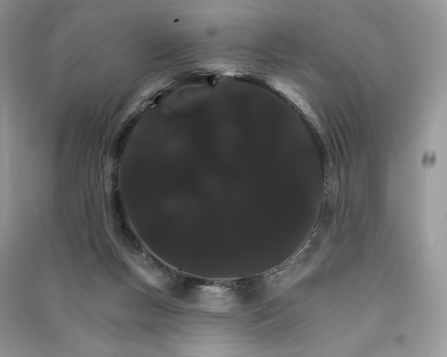 X0000090910167200708131419