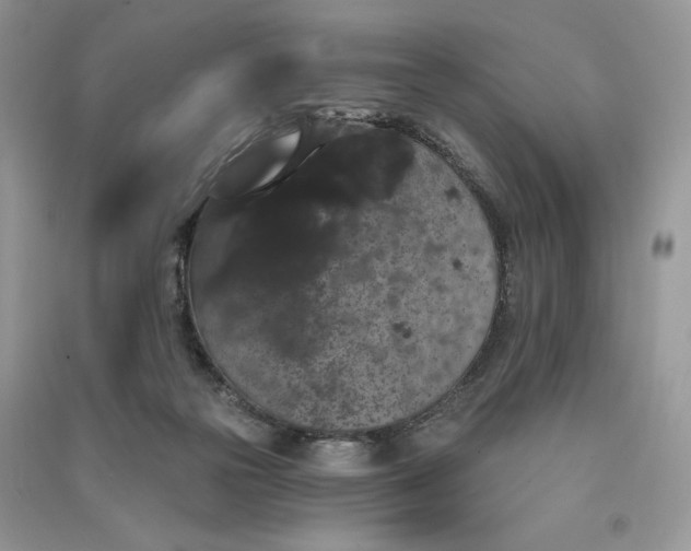 X0000090910169200708131419