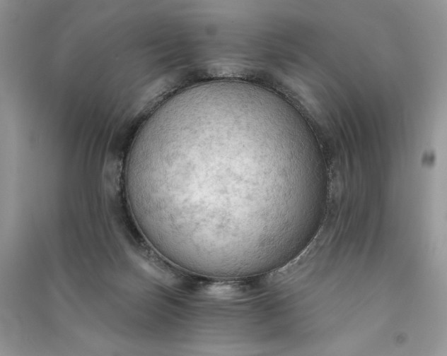 X0000090910171200708131419