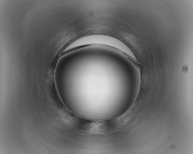 X0000090910172200708131419