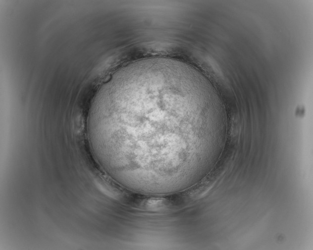 X0000090910173200708131419