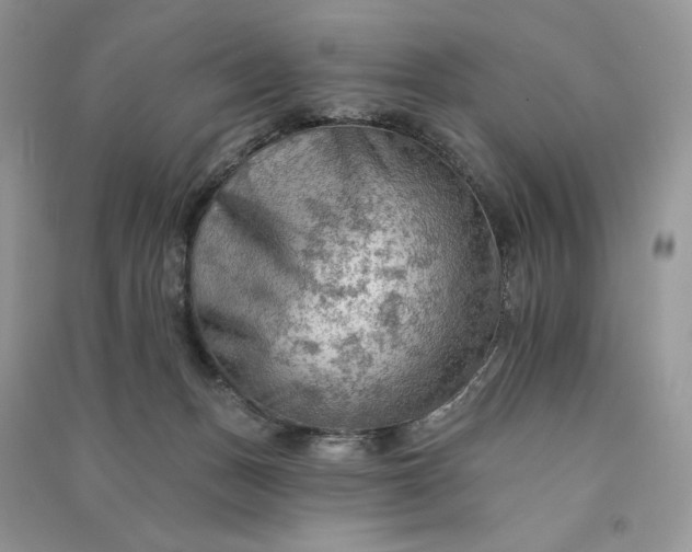 X0000090910175200708131419