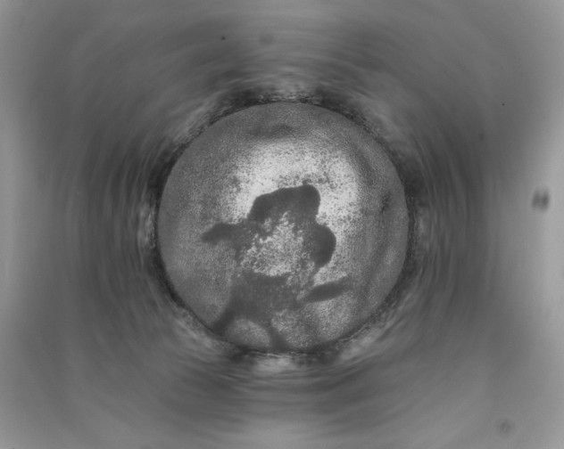 X0000090910177200708131419