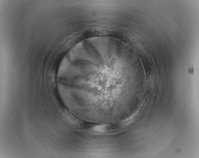 X0000090910178200708131419