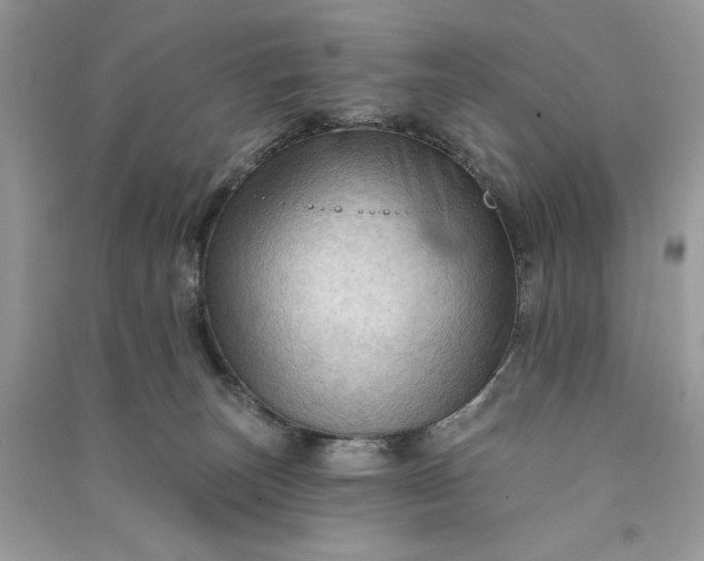 X0000090910179200708131419