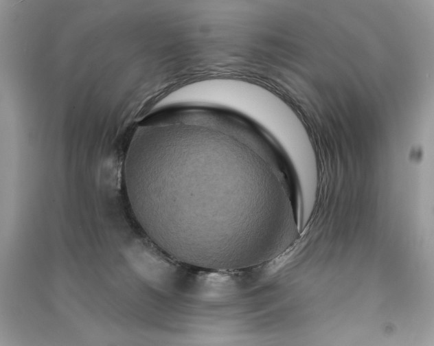 X0000090910180200708131419