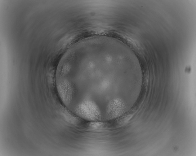 X0000090910181200708131419