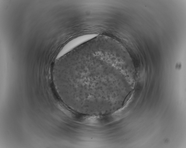 X0000090910182200708131419