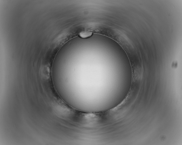 X0000090910183200708131419