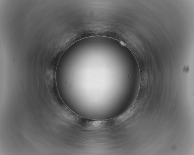 X0000090910184200708131419