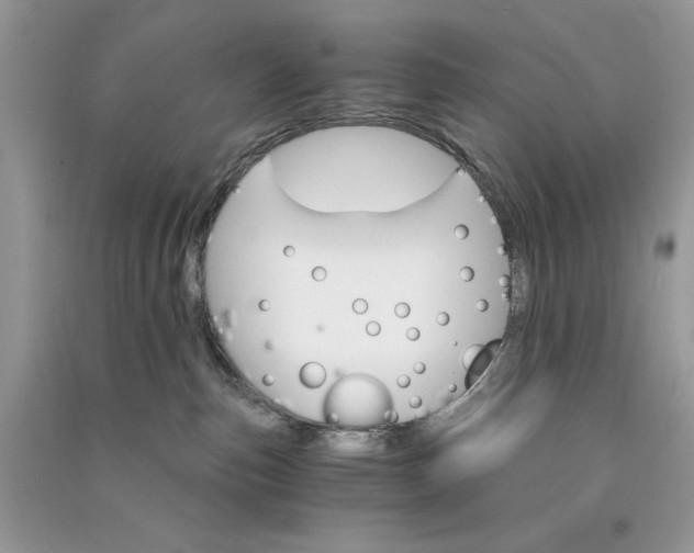 X0000090910187200708131419