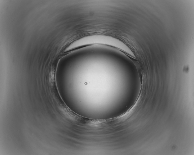 X0000090910190200708131419