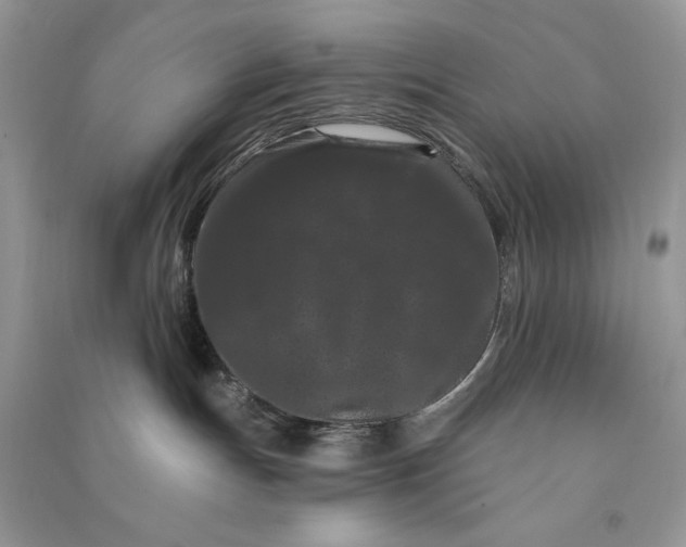 X0000090910191200708131419