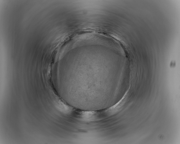 X0000090910192200708131419