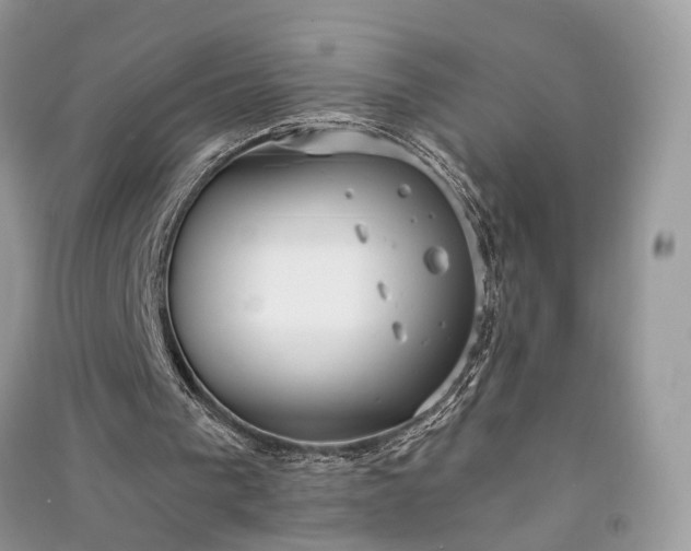 X0000090910193200708131419