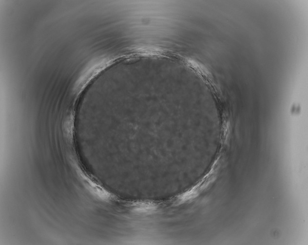 X0000090910194200708131419