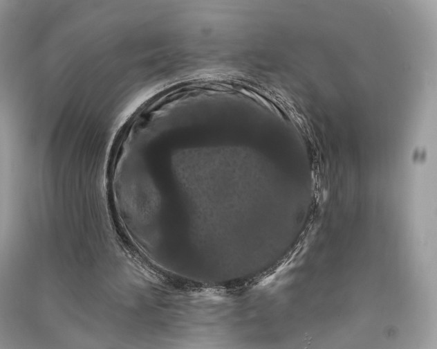 X0000090910196200708131419